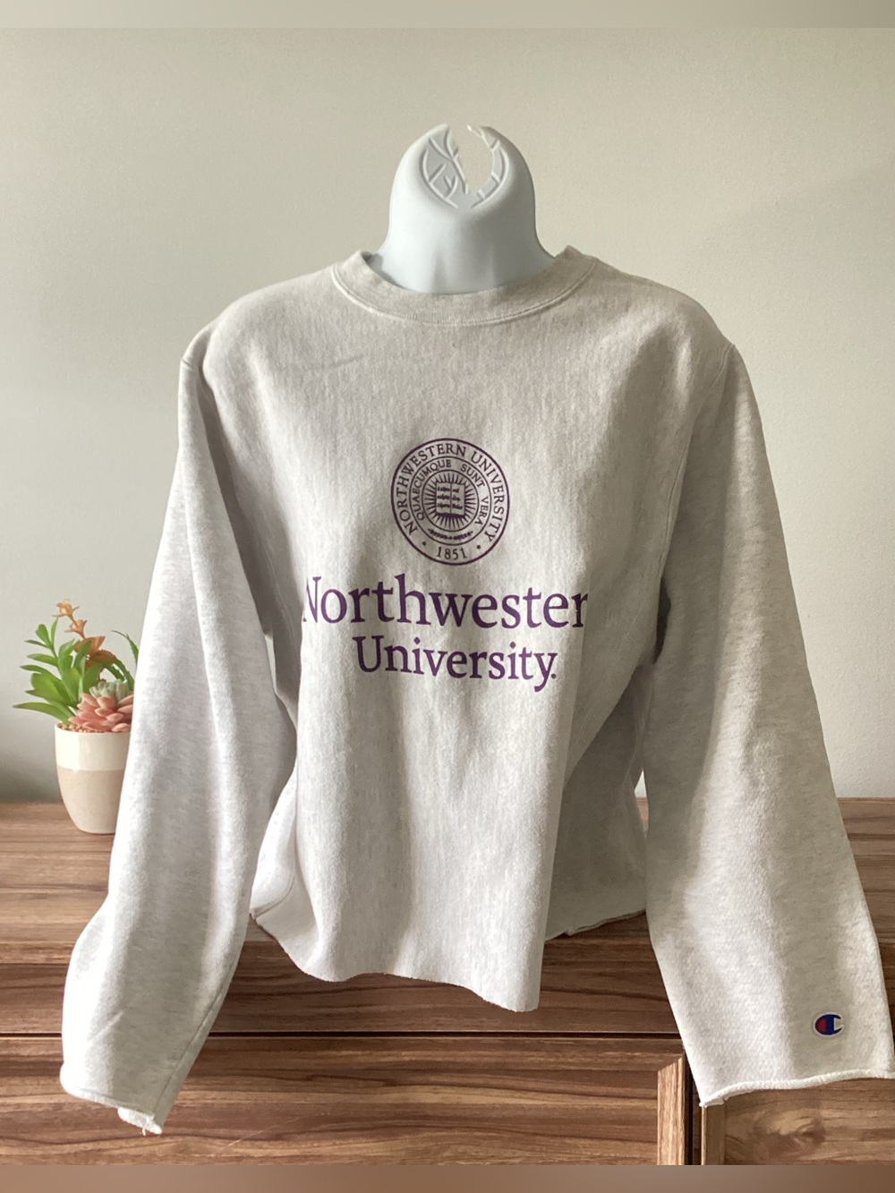 Champion Reverse Weave North Western University Grey Academia Sweatshirt S
